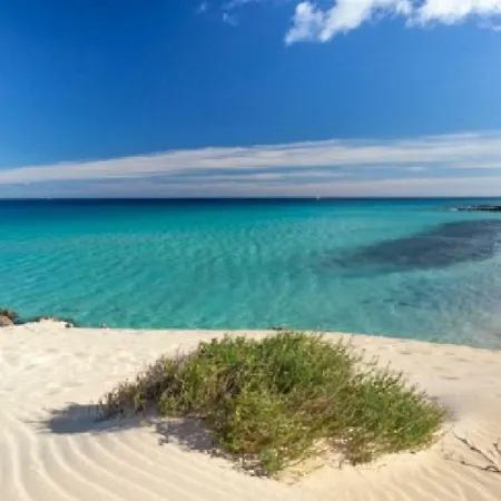 Apartament Lima Waikiki *