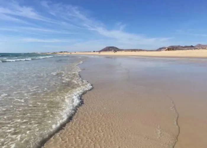 Lima Waikiki Apartman *