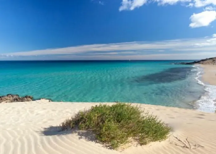 Apartman Lima Waikiki *