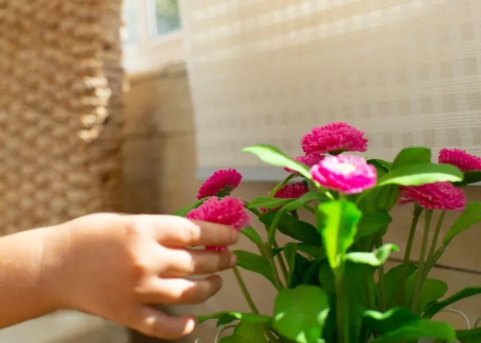 Lejlighed Lima Waikiki